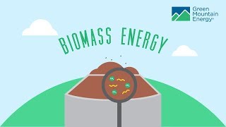 Renewable Energy 101 How Does Biomass Energy Work [upl. by Bouzoun198]