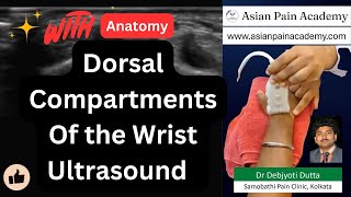 Dorsal Compartments of the Wrist Ultrasound  Anatomy amp Pain Management Insights Asian Pain Academy [upl. by Ahsyekal154]