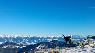 Low Tatras  Winter Paradise [upl. by Rubbico275]