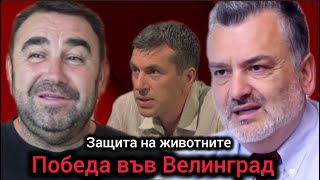 На Живо Победа във Велинград Росен Миленов Павел Стоименов Мицикулев Пасков защитиха животните [upl. by Cummings]