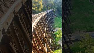 Noojee Trestle Bridge australia australiatravel life melbourne bridge melbournevibes nature [upl. by Collete362]