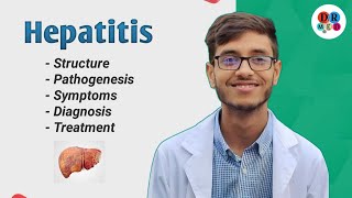 Hepatitis A B C D E Virus  Diagnosis  Virology  Microbiology bangla lecture [upl. by Treble]