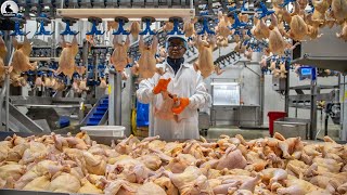 Increíbles 2 millones de pollos procesados al día en fábrica  Moderna fábrica procesamiento aves [upl. by Teuton482]