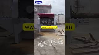 Woodworking log Multi Blade rip Saw Machine [upl. by Siurtemed]