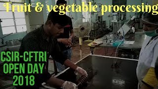 Fruit and Vegetable Processing CSIRCFTRI [upl. by Lon]