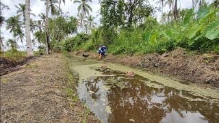 Spot janda yang bikin semua pemancing belut manapun betah gak mau pulang eelfishing [upl. by Omarr]