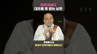 강아지보다 대우를 못 받는 남편 법륜스님 법륜스님쇼츠 법륜쇼츠 즉문즉설 정토불교대학 내가강아지보다못하다니 [upl. by Labana]