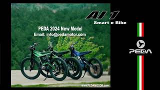 PEDA electric bicycle AI 1 intelligent smart e bike specification lithium battery [upl. by Palocz]