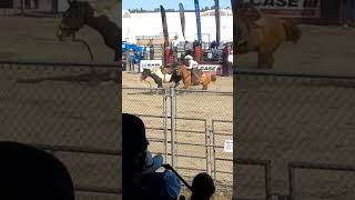 Bucking bronco at International Plowing Match rodeo rodeobuckingbroncoipm2024 [upl. by Edak275]