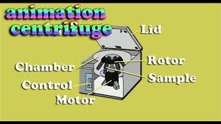 how to works centrifuge basic principle  centrifuge animation [upl. by Aisatsana106]