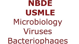 Viruses and Bacteriophages  NBDE amp USMLE [upl. by Seessel]