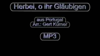 Herbei o ihr Gläubigen  Bläserklasse [upl. by Martres]