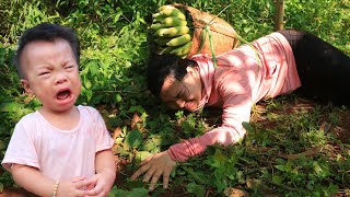 Daughter worried when mother slipped and fell in the forest while harvesting bananas [upl. by Ehcsrop395]