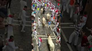 Let’s gooo Pamplona sanfermin pamplonada runningofthebulls spain sanfermines encierro [upl. by Louanne217]