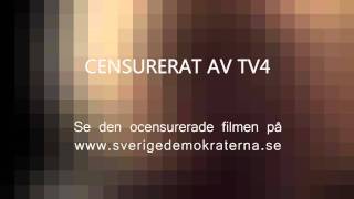 Sverigedemokraternas valfilm av TV4 censurerad version [upl. by Mell]