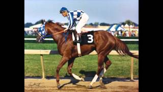 SecretariatThe Horse that Forever Changed History [upl. by Coy]