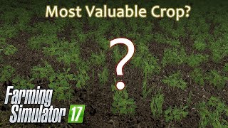 Farming Simulator 17  Most Valuable Crop Award [upl. by Ised131]