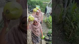 DEDEK BAYI NONTON MAMAH SALWA BAWA BOLA [upl. by Ahsurej]