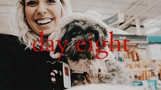 puppies take photos wsanta  VLOGMAS [upl. by Corbett]