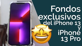 DESCARGA LOS FONDOS DE PANTALLA EXCLUSIVOS DEL IPHONE 13 [upl. by Aicirtac]