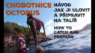 Chobotnice jak ji ulovit a připravit na talíř Octopus how to catch and prepare [upl. by Gundry549]