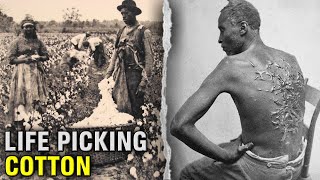 The DISTURBING Life Of A Slave On A Cotton Plantation [upl. by Redwine]