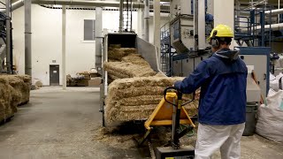 Take a tour of a hemp processing plant [upl. by Tshombe]