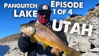 Panguitch Lake UTAH Fall Fishing Episode 1of 4  Golden State Fishing [upl. by Aronaele]