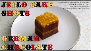 How To Make GERMAN CHOCOLATE CAKE JELLO SHOTS  Day 16364 [upl. by Cupo]