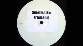 Nirvana vs Adam Freeland  Smells Like Freeland [upl. by Minetta]