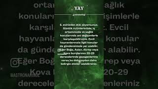 YAY BURCU  16 KASIM URANÜSYEN BOĞA DOLUNAYI astroloji burçyorumları [upl. by Uziel658]