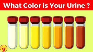 What Your Urine Color Says About Your Health  Urinary System Breakdown  VisitJoy [upl. by Aneej]