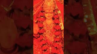 Mata Rani Bhajans The Heartfelt Devotion That Transcends Time [upl. by Domenic]