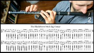 Tuto Irish Flute  The Blackthorn Stick Jig Gmaj [upl. by Oap]