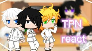 ·TPN reagindo a tik tok· [upl. by Yendis820]