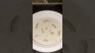 Rice kheervery tasty🤤recipe How to make rice kheer indianrecipe viralvideo ytshortsindia [upl. by Branch790]