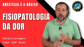 7⃣ ENTENDENDO A FISIOPATOLOGIA DA DOR  Anestesia é o Básico 7 [upl. by Aisatan804]