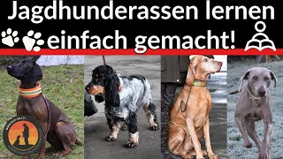 Jagdhunderassen lernen einfach gemacht  Hundeschule UB [upl. by Lothaire]