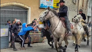 Bandido CAVEIRAC manade Devaux [upl. by Aysa]