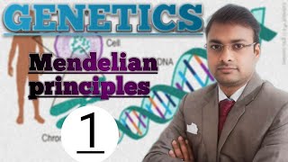 Genetics Mendelian Principles of Heredity [upl. by Powell]