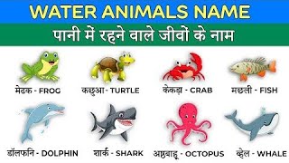 Water animals name hindi and english  Sea animals name for kids  Sea animals cartoon video song [upl. by Platto]