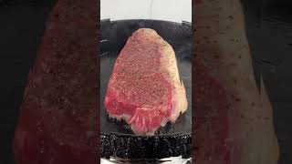 Medium Steak in a Panquot🥩 PanSearedSteak SteakCookingTipsMediumSteak SteakPerfection [upl. by Einaej]