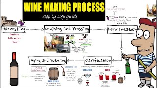 Wine making process step by step Detail guide of wine makingpreparation and making of wine [upl. by Akelahs292]