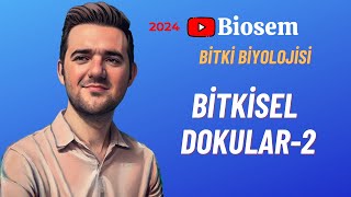 Bitki Biyolojisi  Bitkisel Dokular2 Konu Anlatımı 12 Sınıf Biyoloji [upl. by Anoyi]