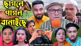 সিলেটি নাটক  ছাগলে পাগল বানাইছে  Sylheti Natok  Sagole Pagol Banaise  Kotai Miya Bangla Natok [upl. by Assenab]