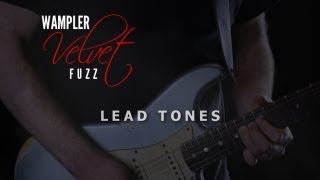 Wampler Velvet Fuzz  Lead Tones [upl. by Nicholas]