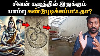 புராண காலத்துப் பாம்பு தோண்டி எடுக்கப்பட்டுள்ளதா  உண்மை என்ன  Vasuki indicus Snake [upl. by Akiv]