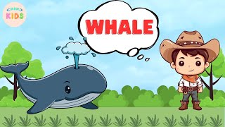 Whale Facts For Kids 🐳 Learn All About Whales  MON Kids [upl. by Krum90]