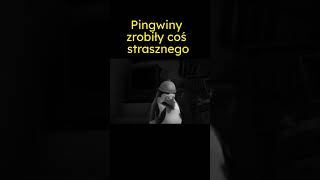 Pingwiny zrobiły coś strasznego shorts [upl. by Anchie]