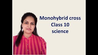 Monohybrid cross CLASS 10 SCIENCE [upl. by Aicemat]